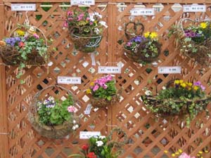 出展された作品の数々